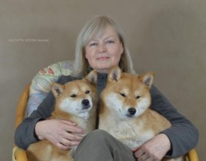 Witamy na stronie shiba inu